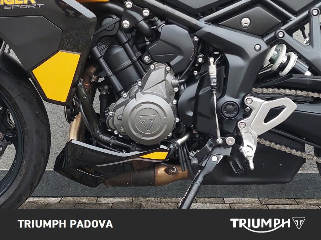 TRIUMPH Tiger Sport 800 Abs