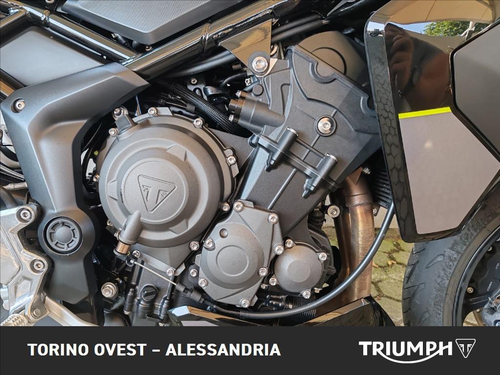 TRIUMPH Tiger Sport 800 Abs