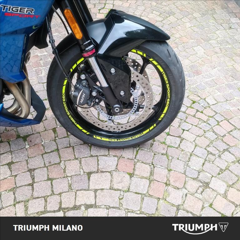 TRIUMPH Tiger Sport 660 Abs