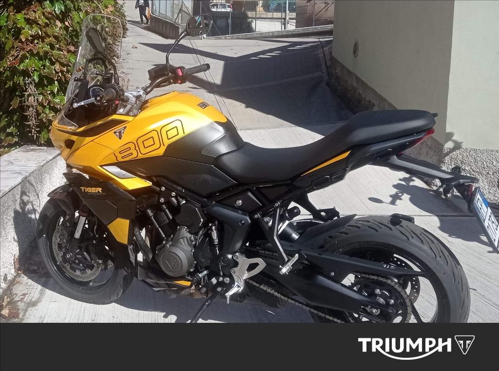 TRIUMPH Tiger Sport 800 Abs