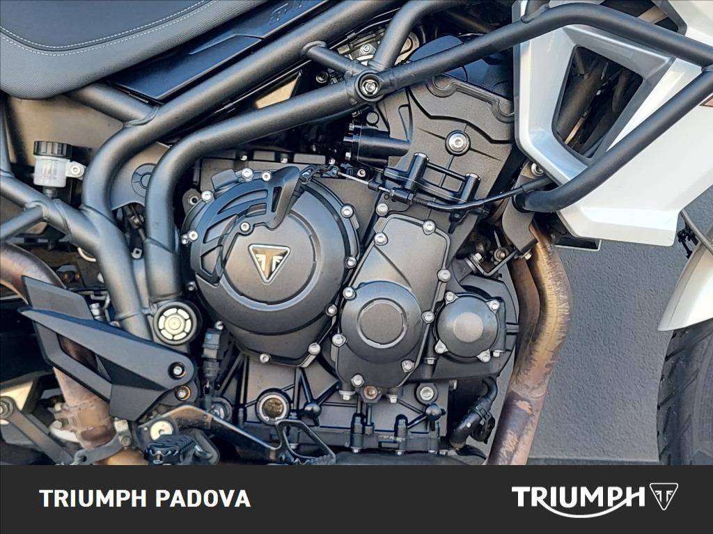 TRIUMPH Tiger 800 XRX Abs