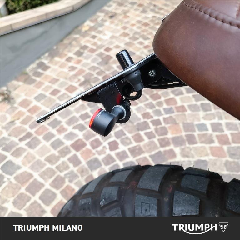 TRIUMPH Street Scrambler 900 