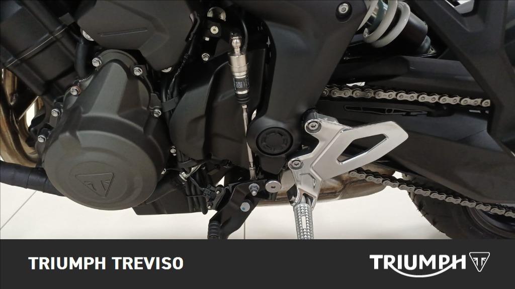 TRIUMPH Tiger Sport 660 Abs