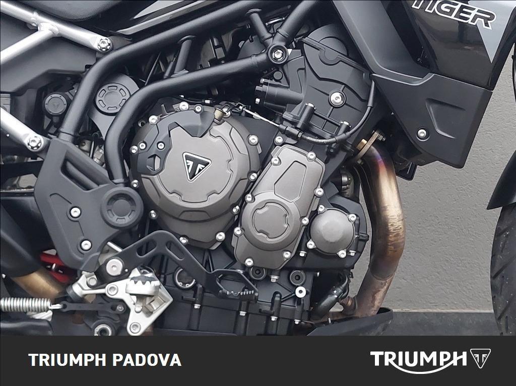 TRIUMPH Tiger 900 GT Pro Abs