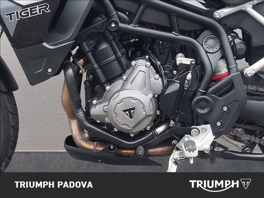 TRIUMPH Tiger 900 GT Pro Abs