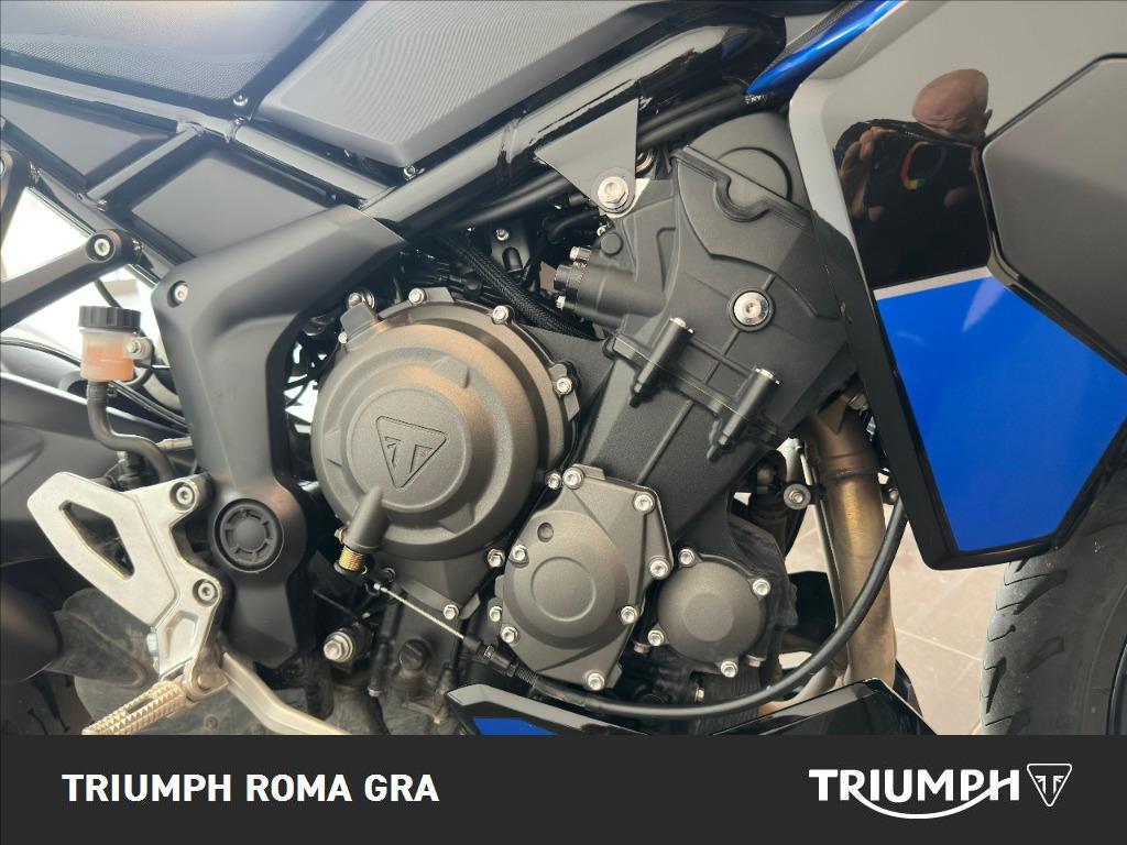 TRIUMPH Tiger Sport 800 Abs