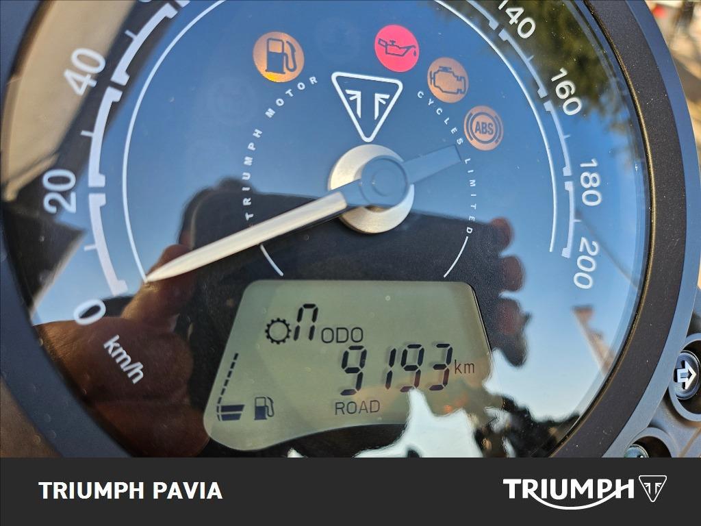 TRIUMPH Street Scrambler 900 