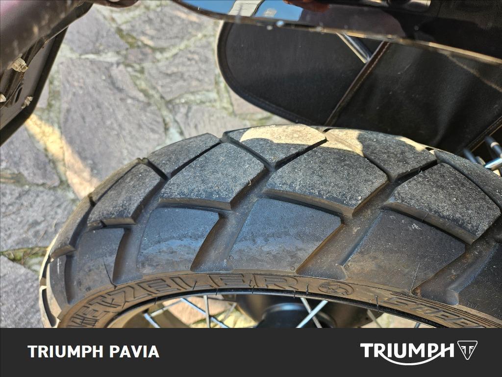 TRIUMPH Street Scrambler 900  #9