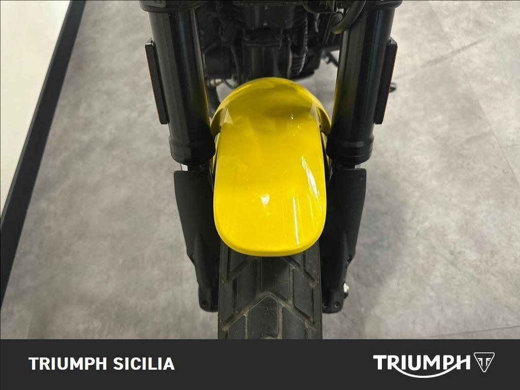 DUCATI Scrambler 800 Icon