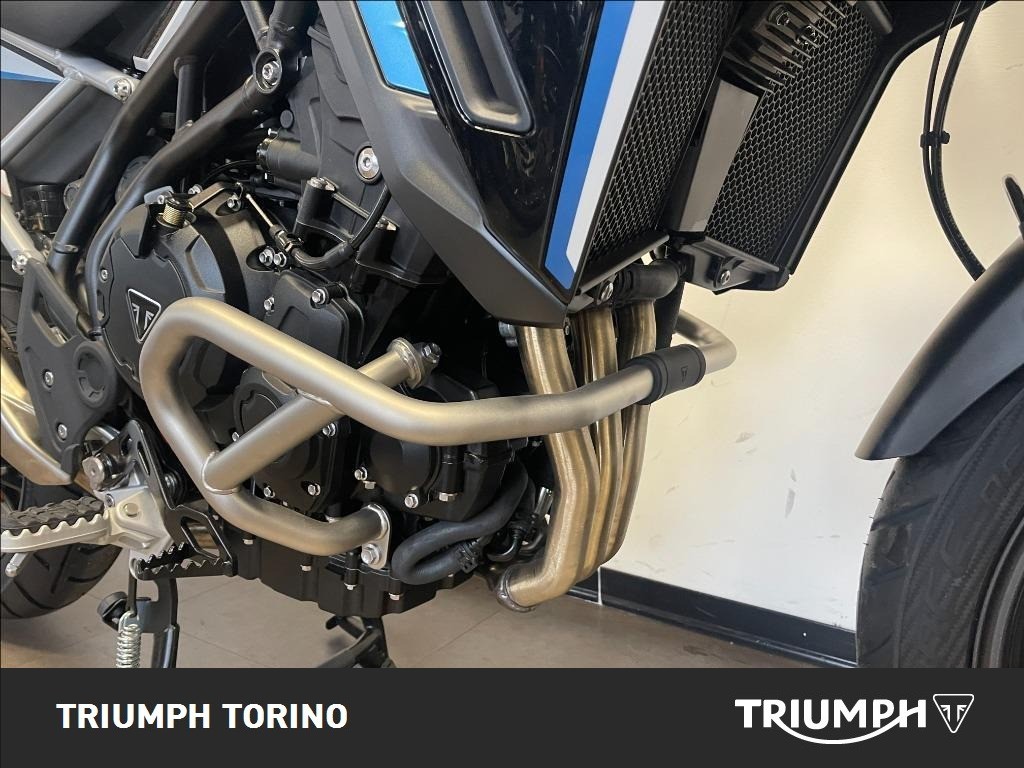 TRIUMPH Tiger 900 Alpine Edition #2