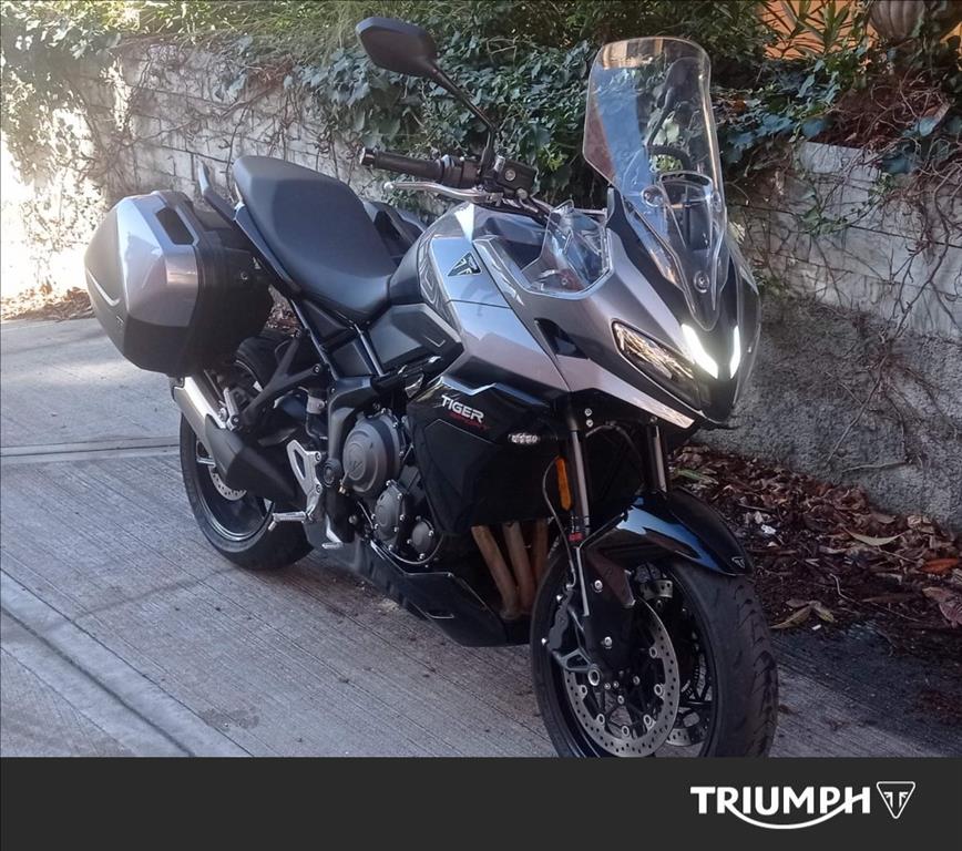 TRIUMPH Tiger Sport 800 Abs