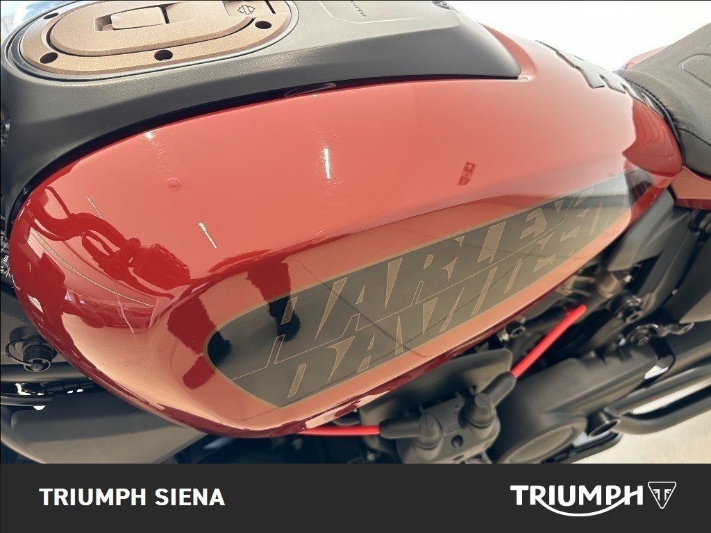 HARLEY DAVIDSON 1250 Sportster S Custom Color