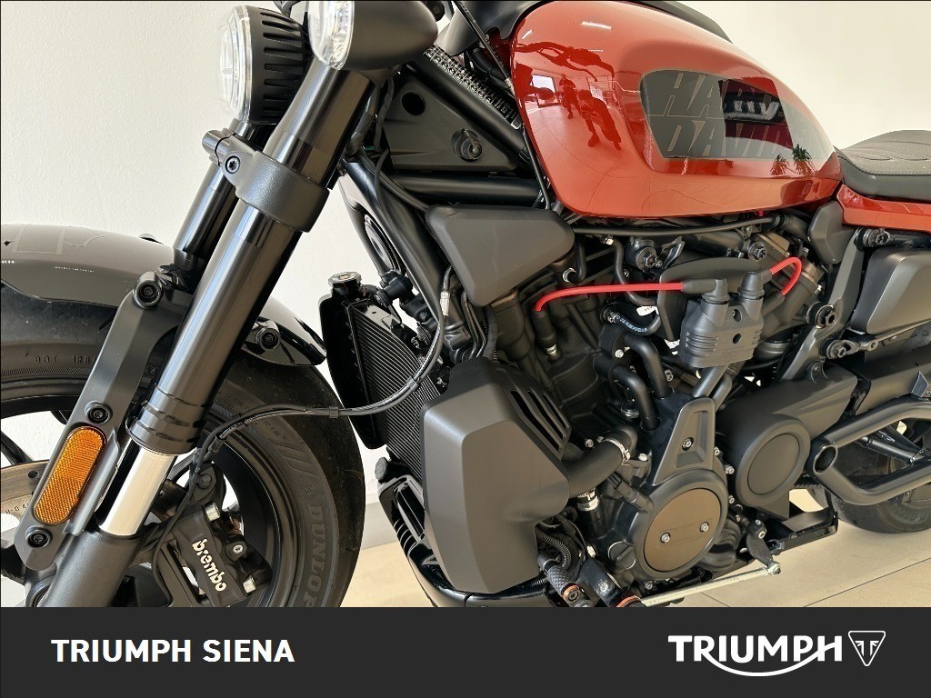 HARLEY DAVIDSON 1250 Sportster S Custom Color