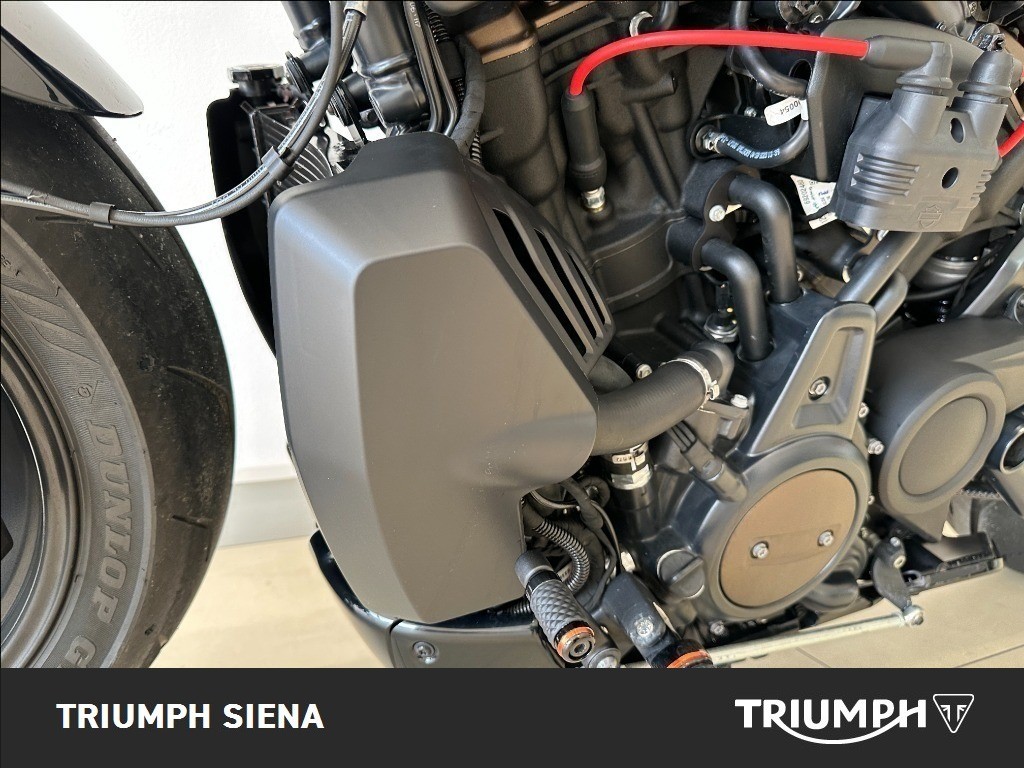 HARLEY DAVIDSON 1250 Sportster S Custom Color