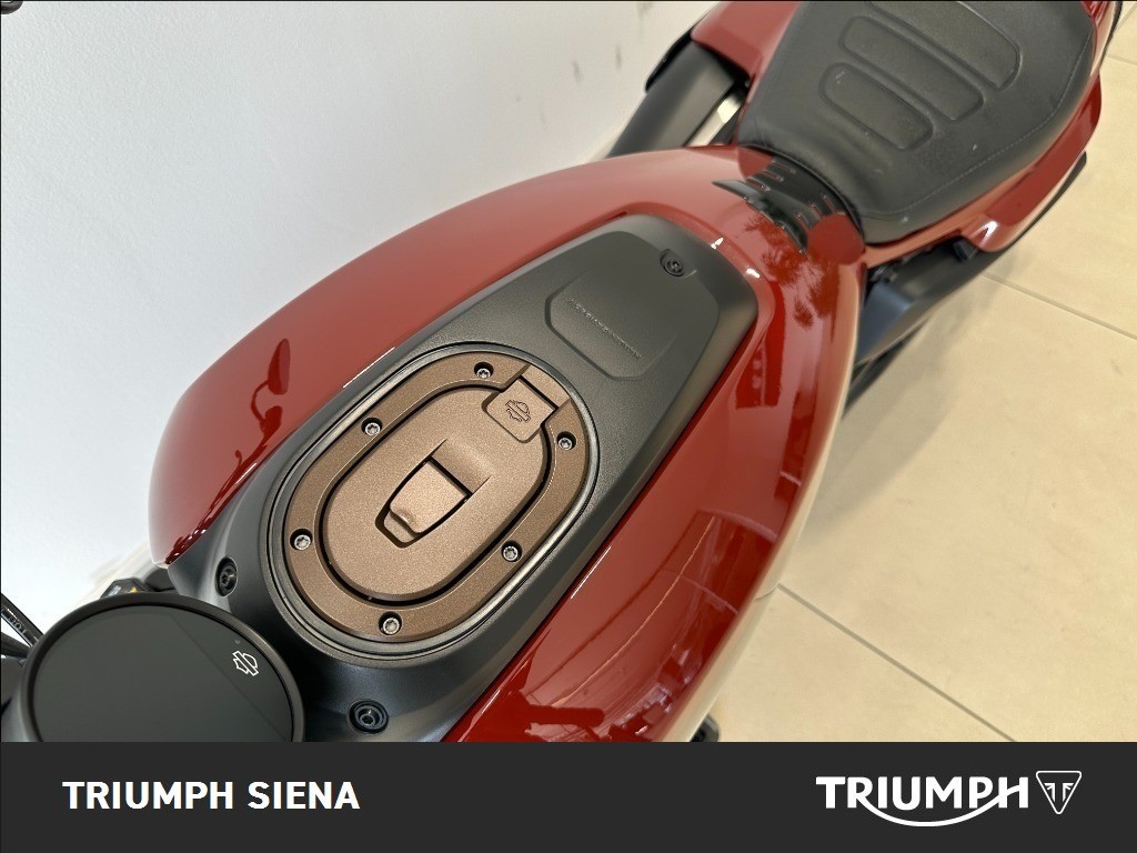 HARLEY DAVIDSON 1250 Sportster S Custom Color