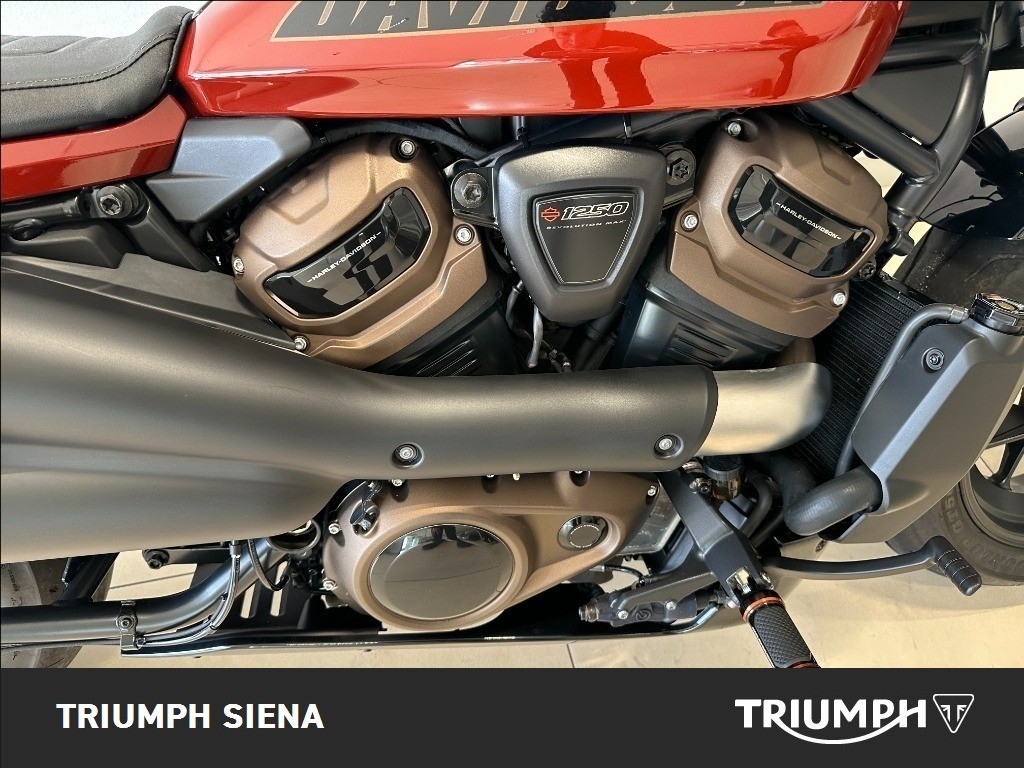 HARLEY DAVIDSON 1250 Sportster S Custom Color