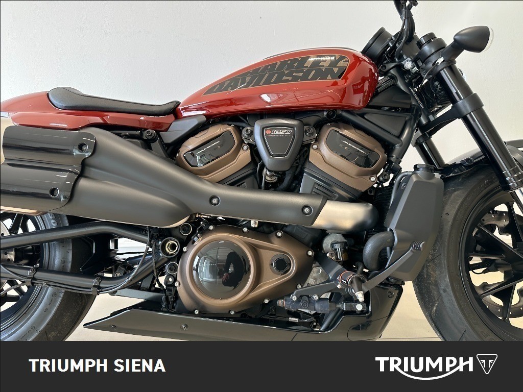 HARLEY DAVIDSON 1250 Sportster S Custom Color