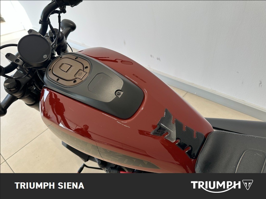 HARLEY DAVIDSON 1250 Sportster S Custom Color