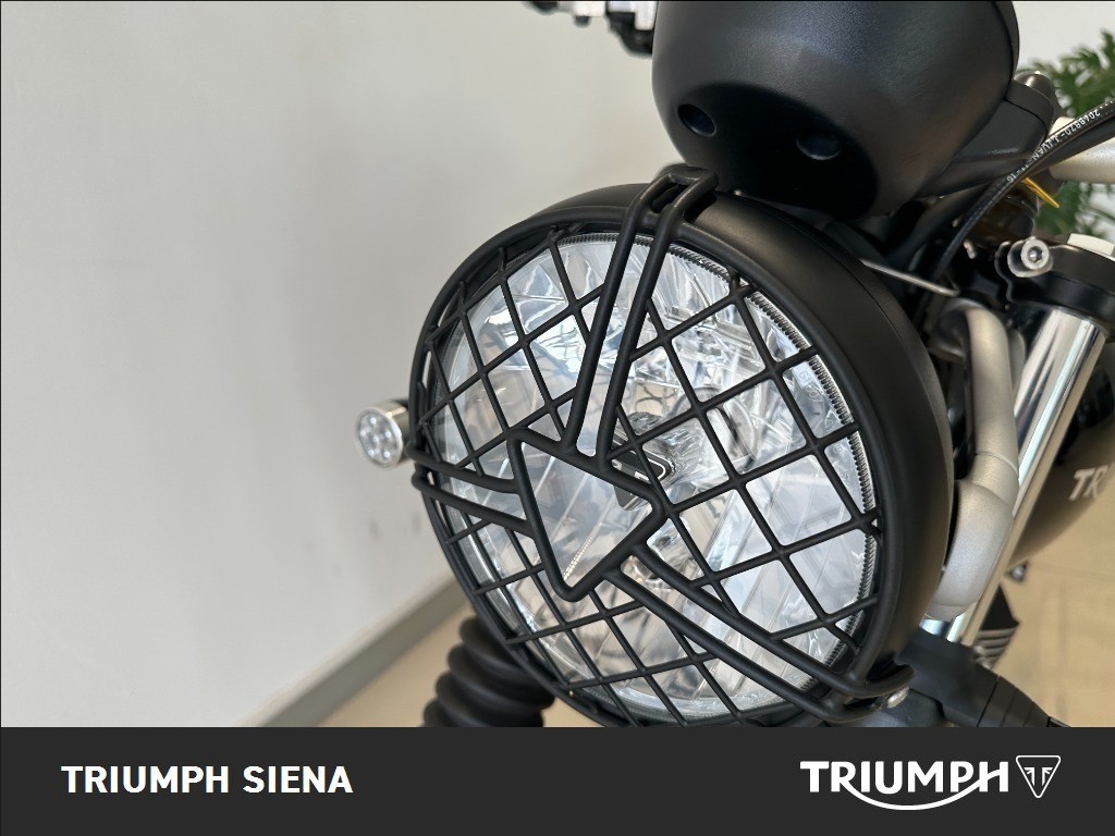 TRIUMPH Street Scrambler 900 