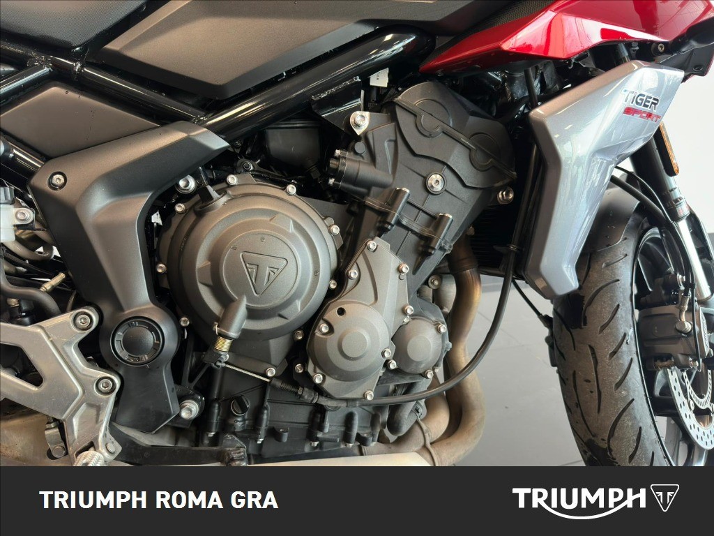 TRIUMPH Tiger Sport 660 Abs