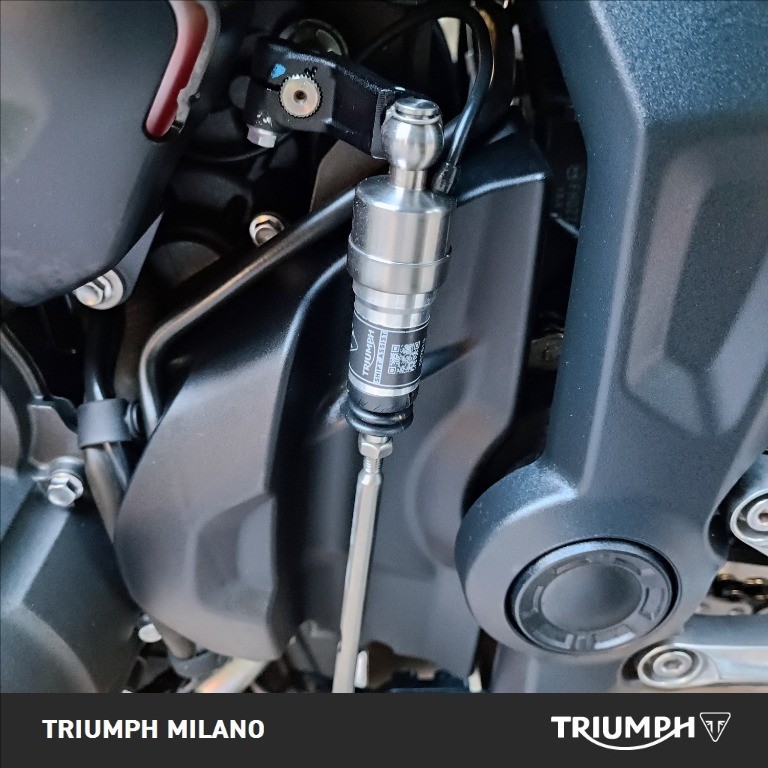 TRIUMPH Trident 660 Abs