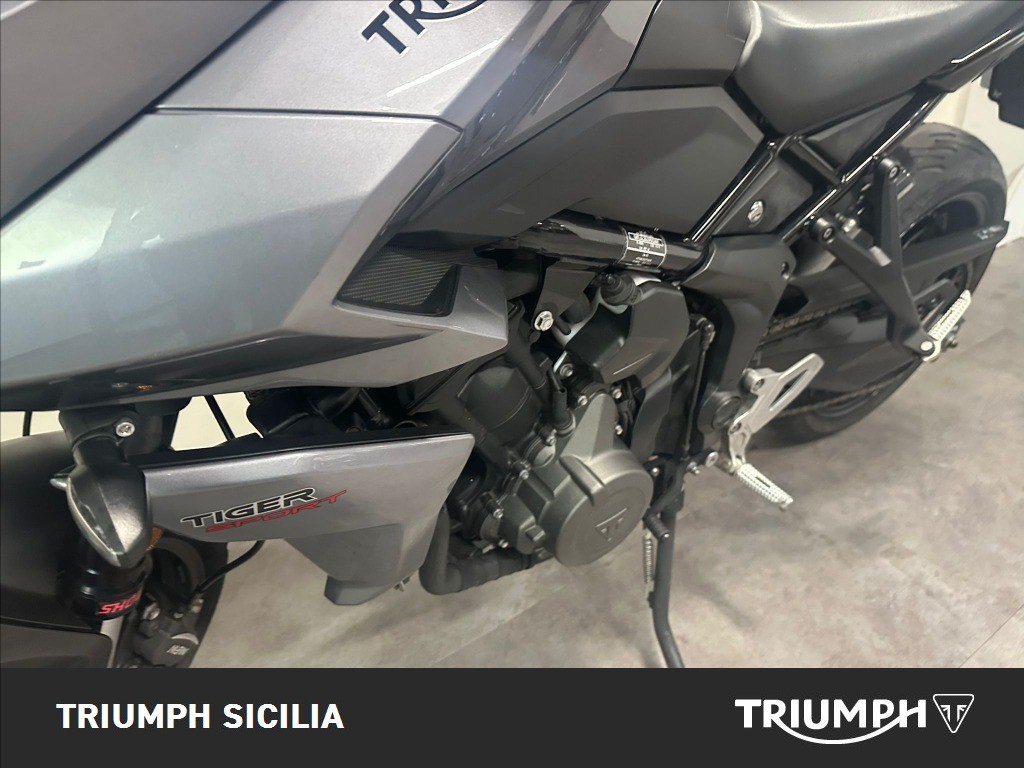 TRIUMPH Tiger Sport 660 Abs