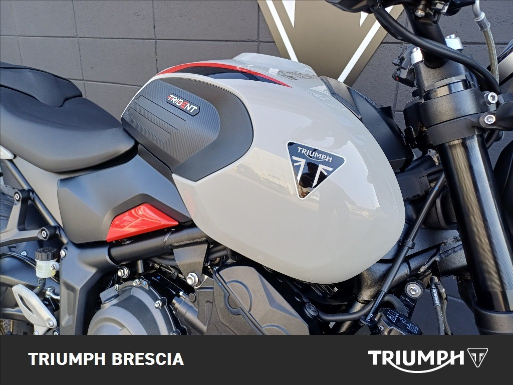 TRIUMPH Trident 800 Ash Grey Abs