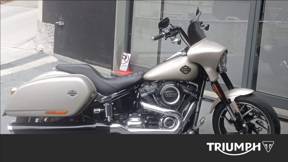 HARLEY-DAVIDSON Sport Glide 107 1745 Color