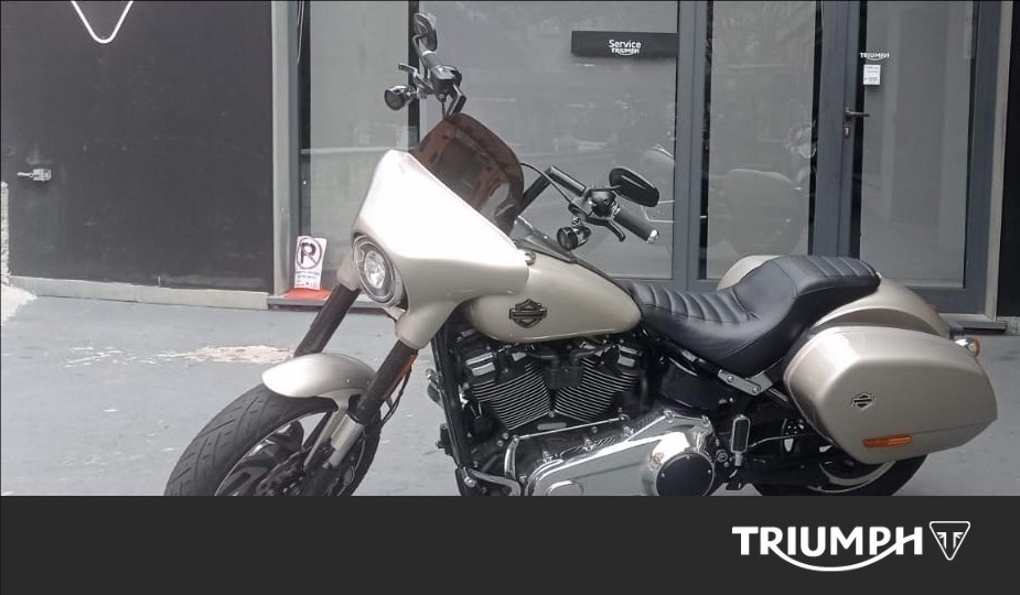 HARLEY-DAVIDSON Sport Glide 107 1745 Color