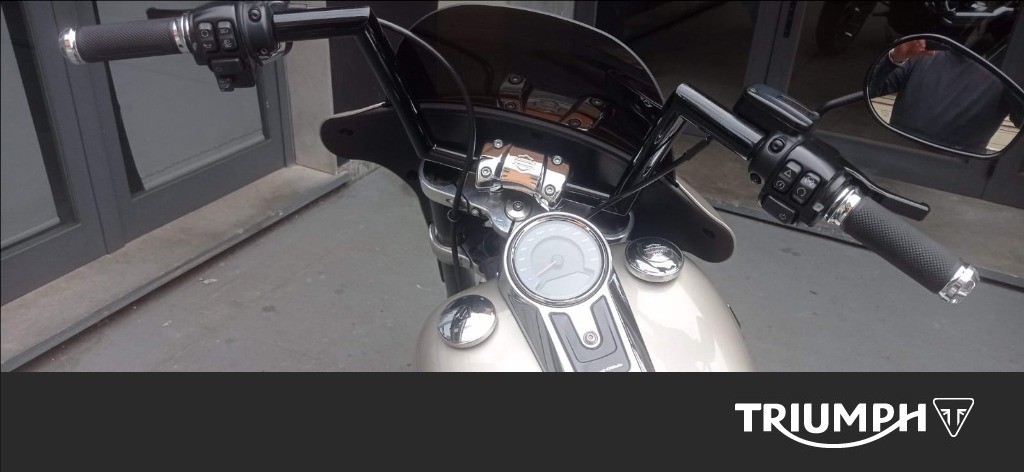 HARLEY-DAVIDSON Sport Glide 107 1745 Color