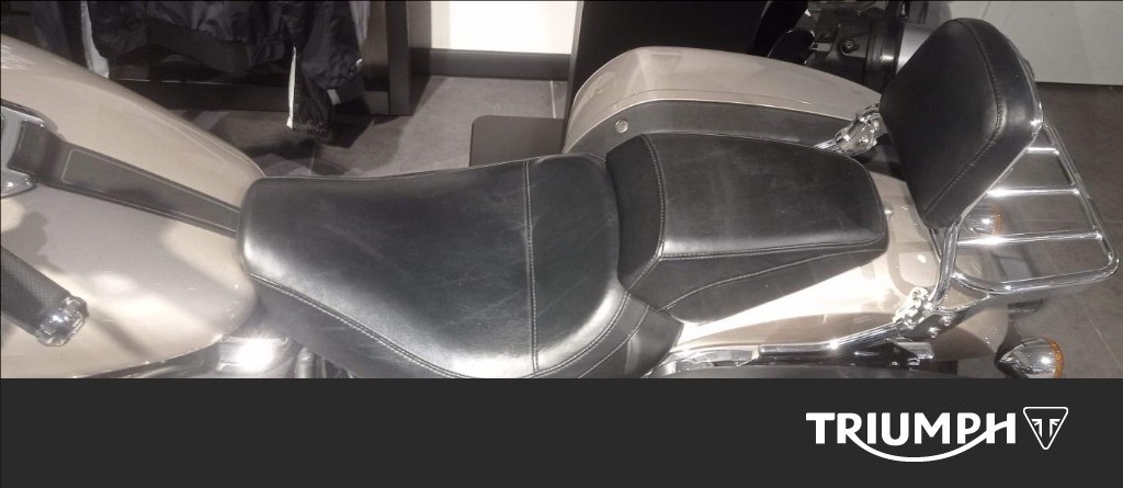 HARLEY-DAVIDSON Sport Glide 107 1745 Color