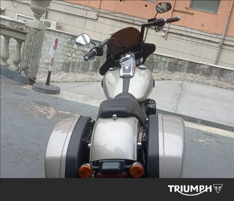 HARLEY-DAVIDSON Sport Glide 107 1745 Color