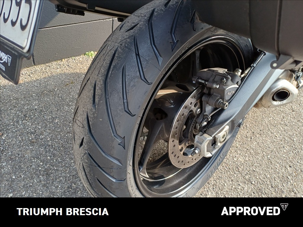 TRIUMPH Tiger Sport 660 Abs