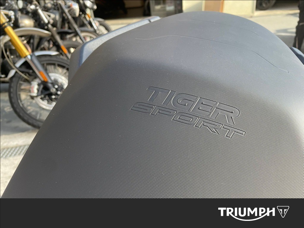 TRIUMPH Tiger Sport 800 Abs #6