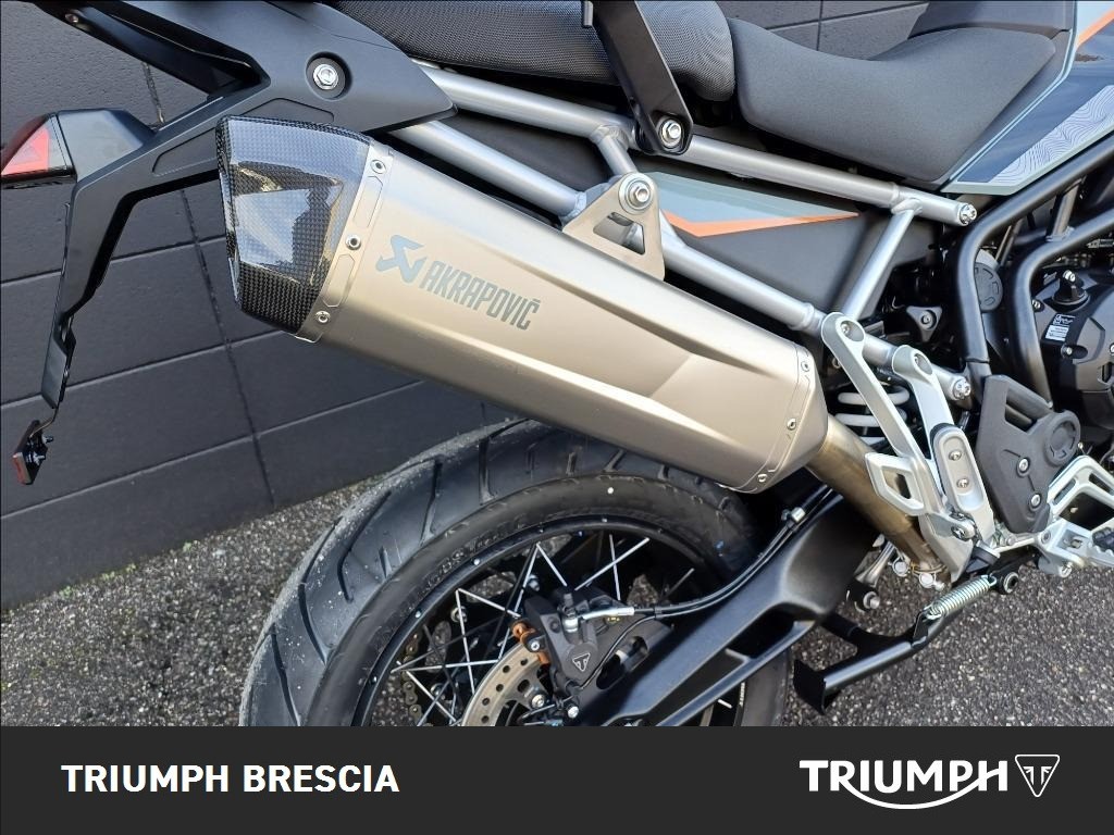 TRIUMPH Tiger 900 Desert Edition