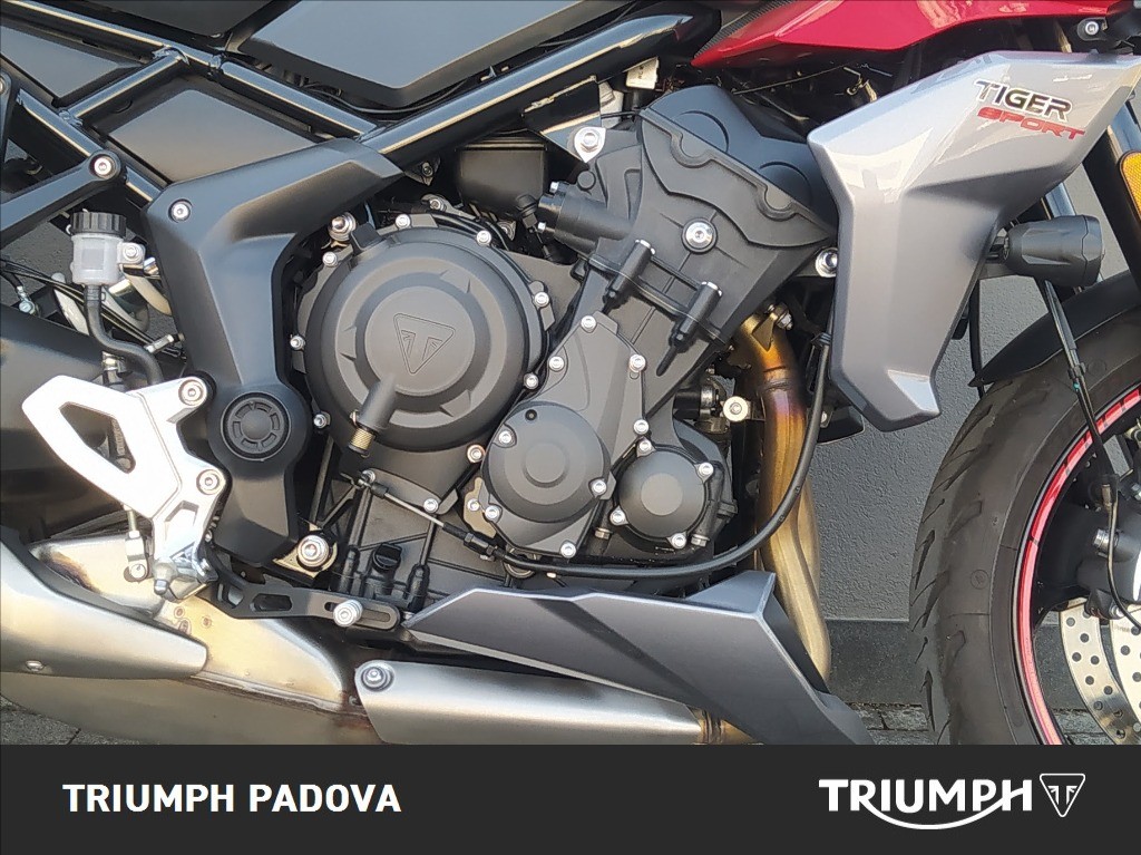 TRIUMPH Tiger Sport 660 Abs