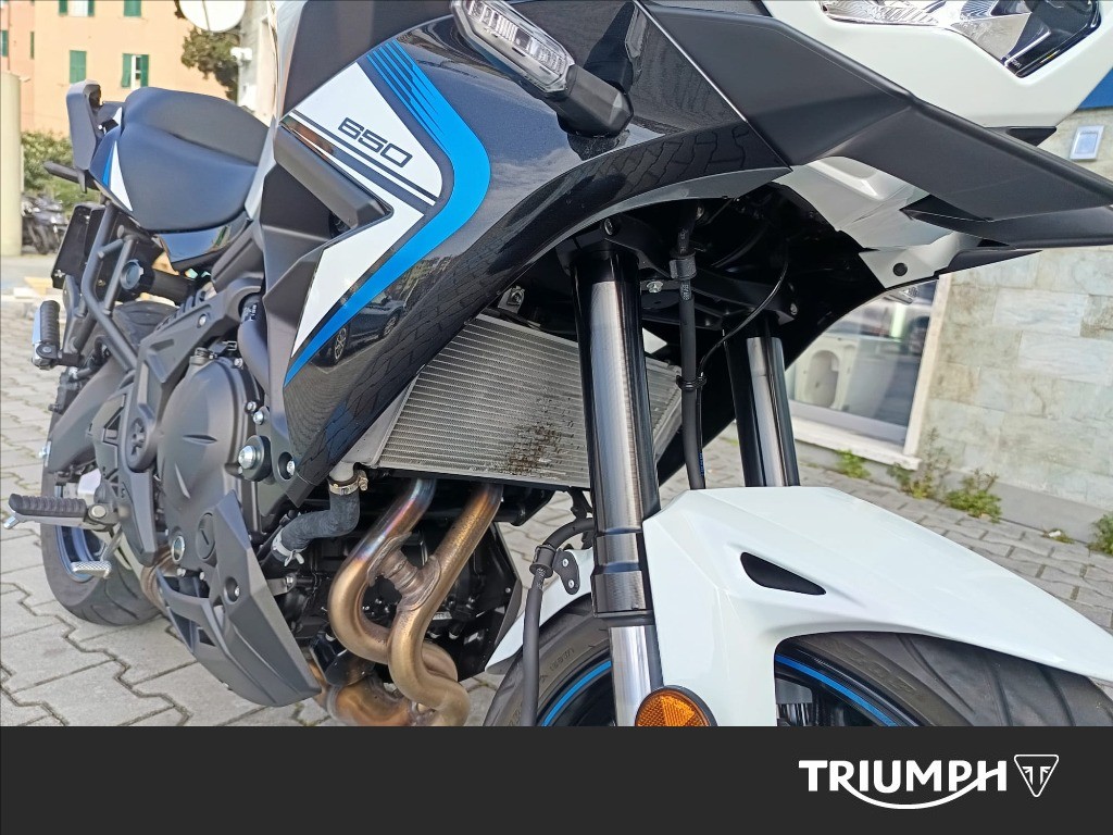 KAWASAKI Versys 650 Abs