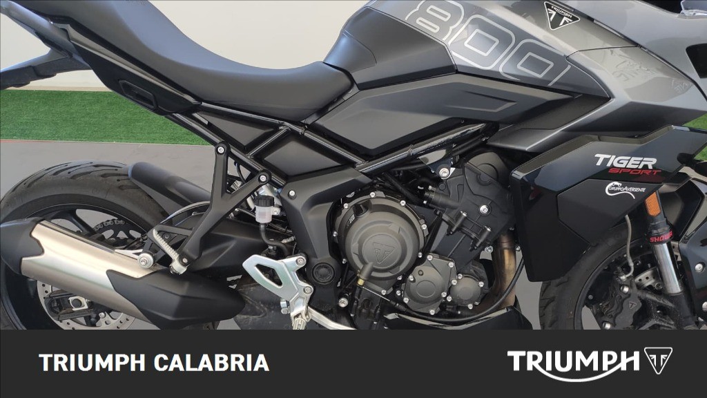 TRIUMPH Tiger Sport 800 Abs