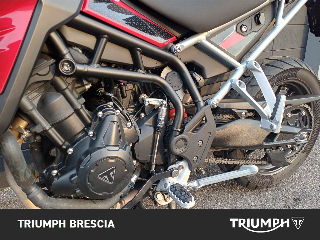 TRIUMPH Tiger 900 GT Pro Abs