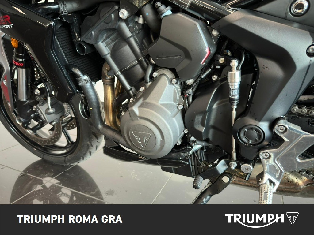 TRIUMPH Tiger Sport 660 Abs