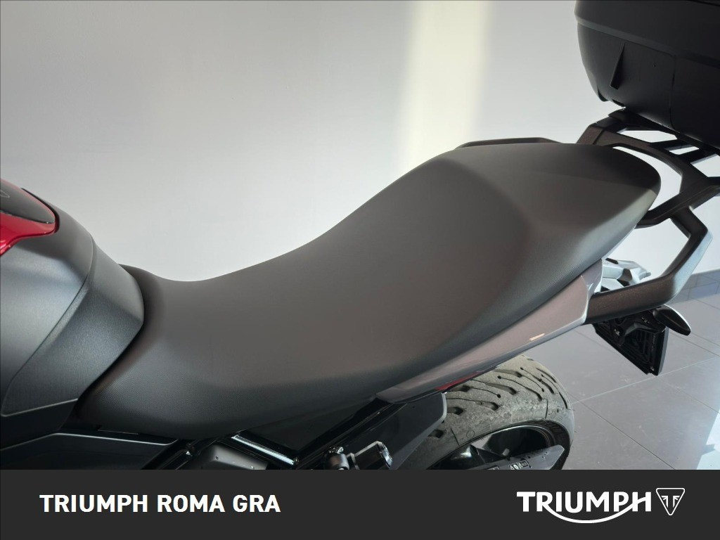 TRIUMPH Tiger Sport 660 Abs