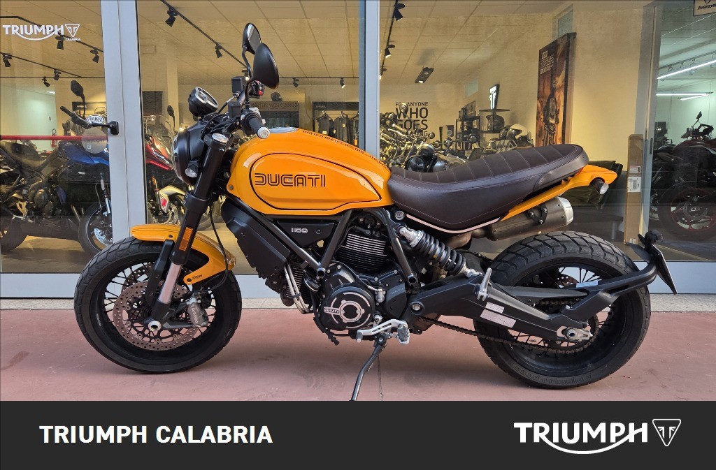 DUCATI Scrambler 1100 Tribute Pro