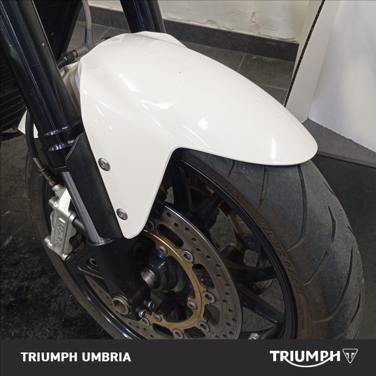 TRIUMPH Speed Triple 1050 