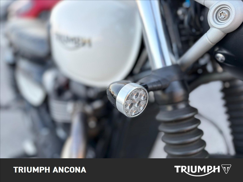 TRIUMPH Street Scrambler 900 