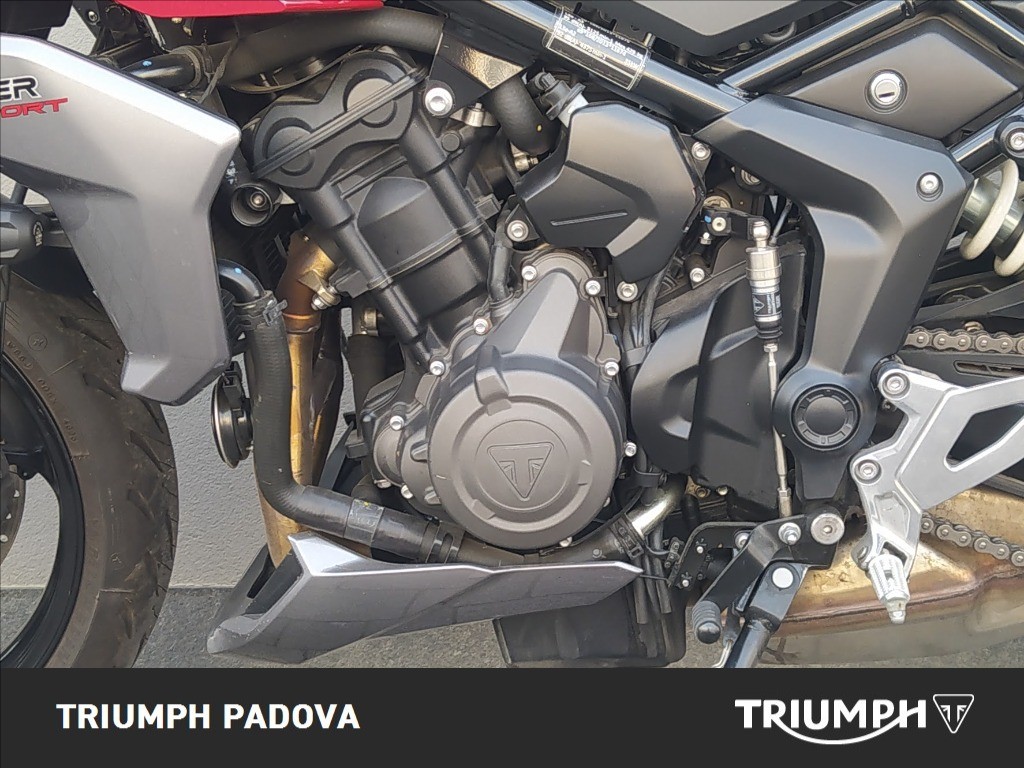 TRIUMPH Tiger Sport 660 Abs