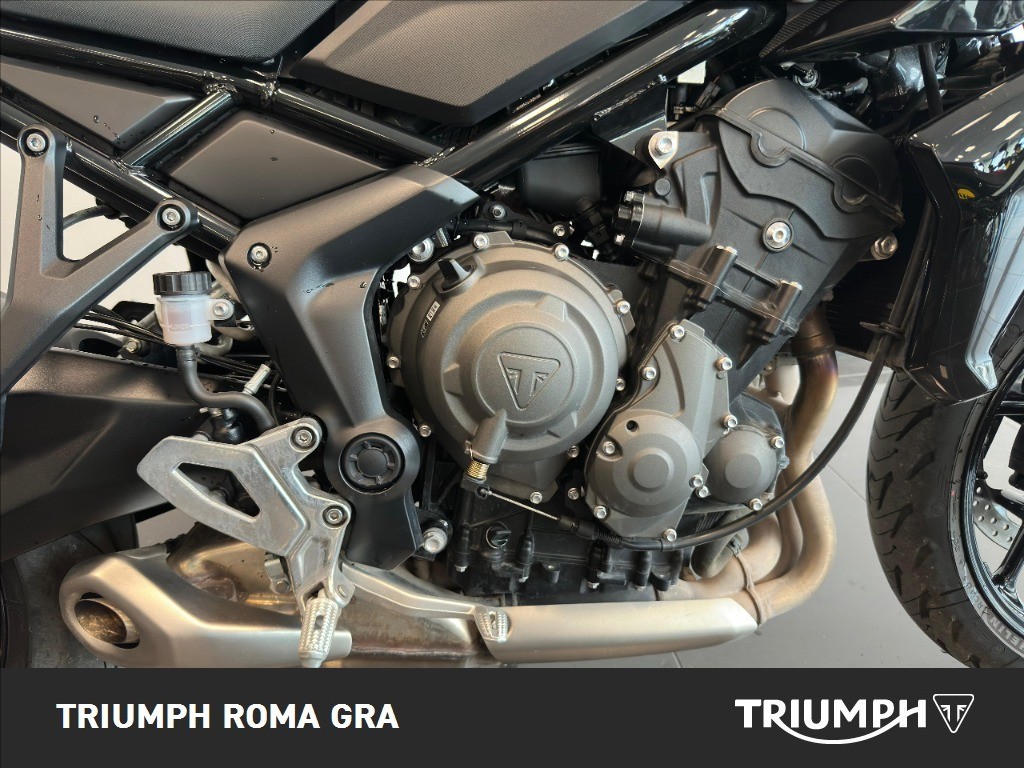 TRIUMPH Tiger Sport 660 Abs