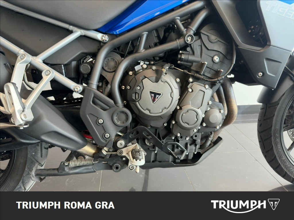 TRIUMPH Tiger 900 GT Pro Abs