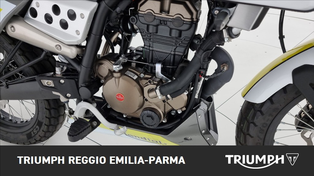 F.B MONDIAL Flat 125 Track Abs