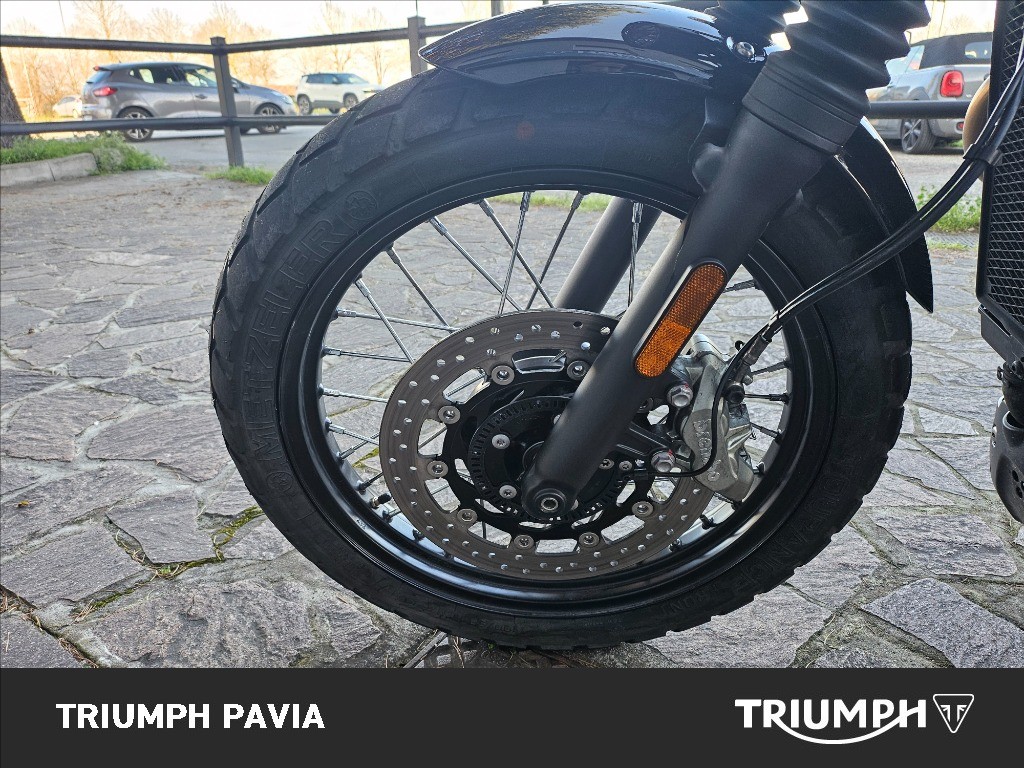 TRIUMPH Street Scrambler 900 