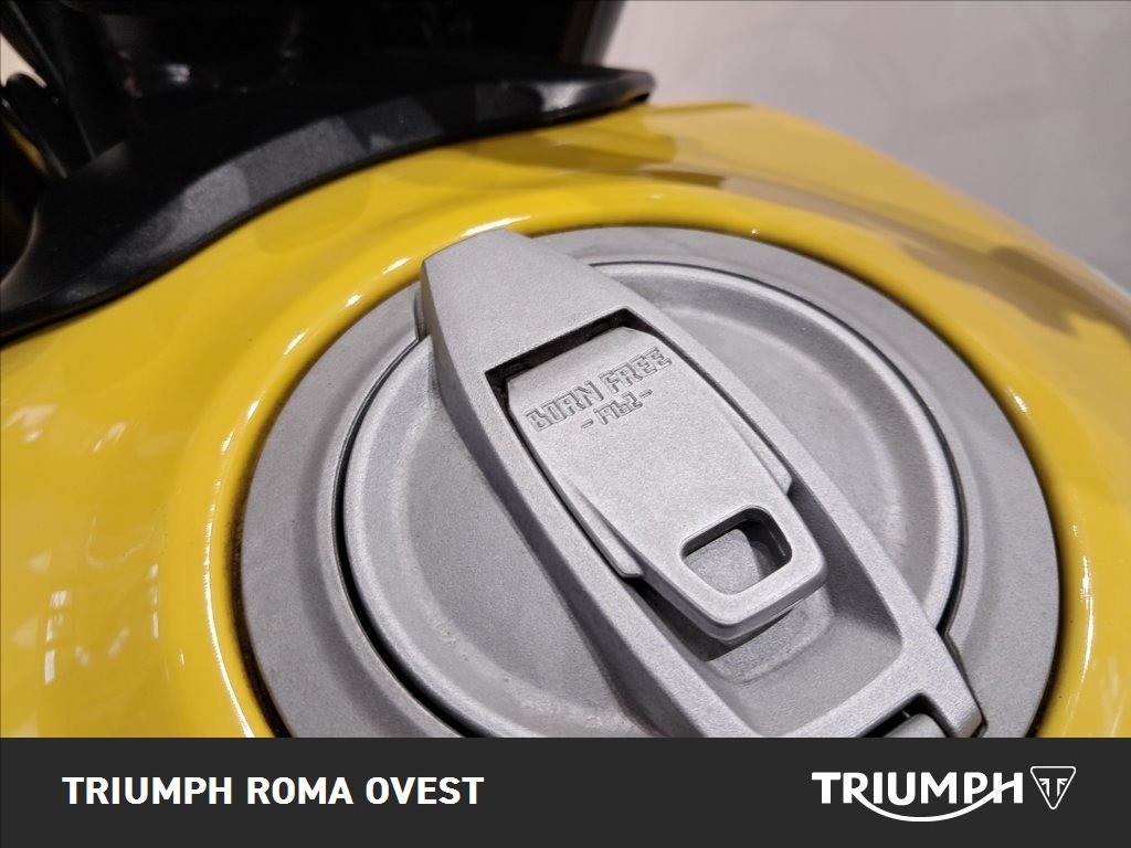 DUCATI Scrambler 800 Icon Yellow